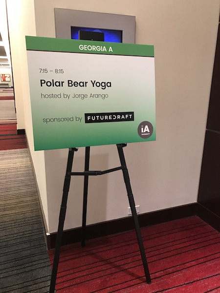 Polar Bear Yoga at IA Summit 2017